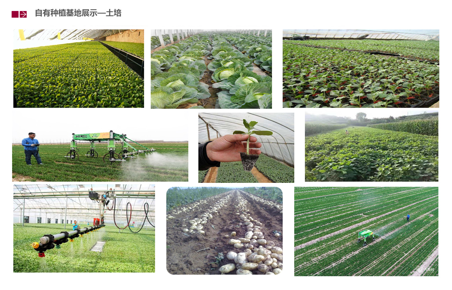 &#29233;&#28216;&#25103;&#23448;&#26041;&#32593;&#31449;&#45;&#29233;&#28216;&#25103;&#20840;&#31449;&#65;&#80;&#80;&#40;&#97;&#121;&#120;&#41;&#20013;&#22269;&#23448;&#26041;&#32593;&#31449;